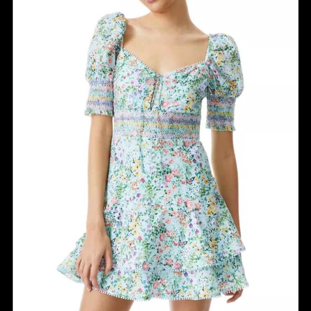 Alice + Olivia Dress